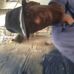 Freddy Solano Hasselbrink - Facebook