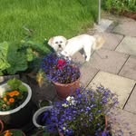 Freda Gormley - @fredahogangormley - Instagram