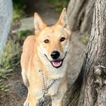 Lucie (Freda Peeple) Hogan - @luciethejindo - Instagram