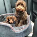 Freda Holt - Facebook