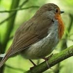 Freda Huggins - @hugginsfreda - Instagram