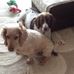 Freda Stead - Facebook