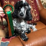 Freda Longhurst - @longhurstfreda - Instagram