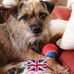 Freda Jarvis - Facebook