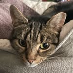 Freda - @freda.johnson_hulme - Instagram