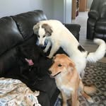 Freda Johnson - @fredajohnson2498 - Instagram