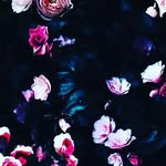 Freda Kelly - @kellyfreda6 - Instagram