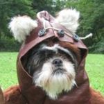 Freda King - @freda_pdog_trainer - Instagram