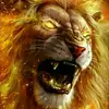 user7355290584638 - @fredaking - TikTok