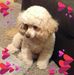 Freda Knight - Facebook