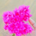 Freda Lambu - @lambufreda - Instagram