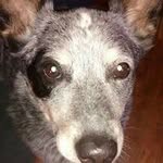 Freda Lane Smith - @freda.l.smith.9 - Instagram