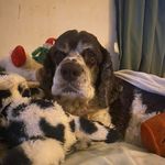 Freda Lawless - @lawlessfreda - Instagram