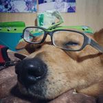 Freda Lee - @fredalee123 - Instagram