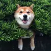 Freda Li - @2169405112 - TikTok