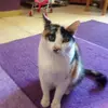 user7006875290409 - @fredalilly - TikTok