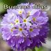 Linda Freda - Facebook