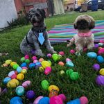 Freda_ Lucas - @freda_lucas1011 - Instagram
