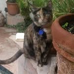 Freda V Main - @fredamain - Instagram