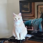Freda M Marshall - @fredamarshall8126 - Instagram