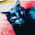 Freda - @fredamarshall_ - Instagram