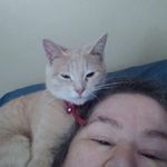 Freda M Marshall - @fredamarshall8126 - Instagram