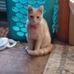 Freda Marshall - Facebook