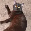 Freda Martinez - @fredamartinez - TikTok