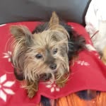 Freda may roberts - @fredamayroberts - Instagram