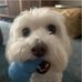 Freda Mayes - Facebook