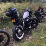 Freddie mccann - @fredmccann69 - Instagram