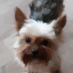 Freda McClellan - @freda.mcclellan.716 - Instagram