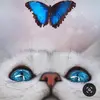 Elfredah cleo pats🥰🦋🇺🇬🇳🇬 - @dahelfre - TikTok