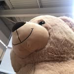 Freddie Freda Howcutt Meadows - @freddiethefuckingteddy - Instagram