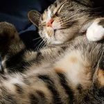 Freda Bartley Melvin - @melvinfreda - Instagram