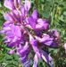 Freda Mohr - Facebook