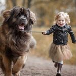 Freda 13 - @fredamuller123 - Instagram