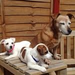 Freda Murray - @freda.murray.39 - Instagram