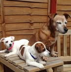 Freda Murray - Facebook