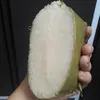 Freda Murray - @freda.murray5 - TikTok