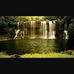 Freda Oliver - Facebook