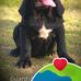 Freddy Oneal Castejon Mejias - Facebook