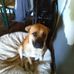 Freda Parker - Facebook