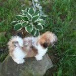 Freda L. Parsons - @fredalparsons - Instagram