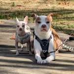 Freda Peterson - @applesnana60 - Instagram