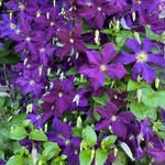 Freda Richardson - @freda.richardson.9 - Instagram