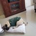 Frida Rigby - Facebook