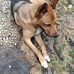 Freda Ritchie - Facebook