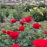 Freda Rivers - @fredarivers1960 - Instagram