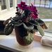 Freda Roberts - Facebook